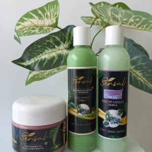 kit de rizos básico